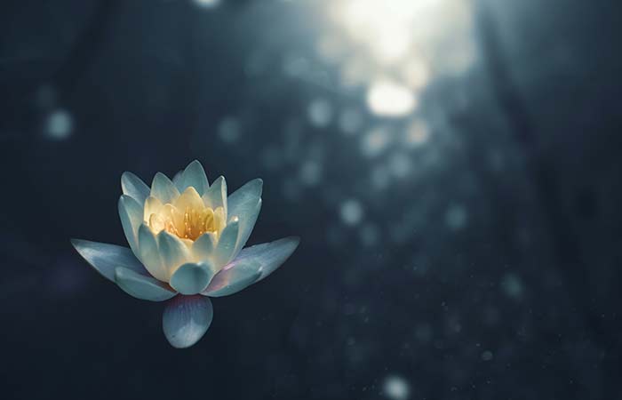 Featured image for “Secrets of Profound Meditation”
