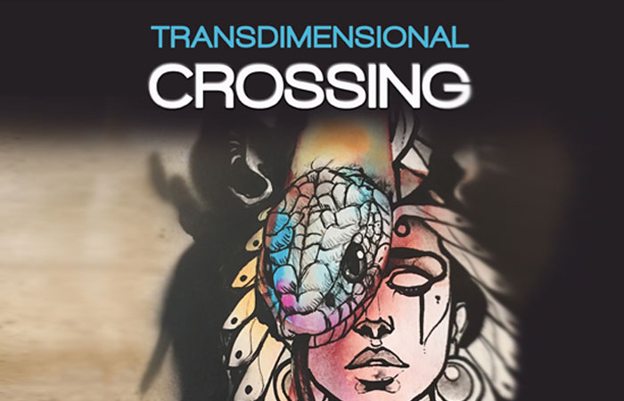 Featured image for “Transdimensional Crossing – Afterward”